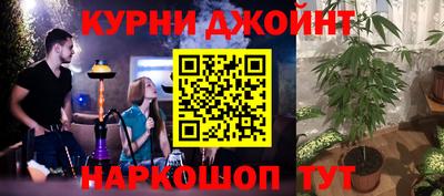 герыч Кингисепп
