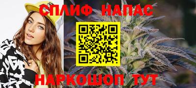 герыч Кингисепп